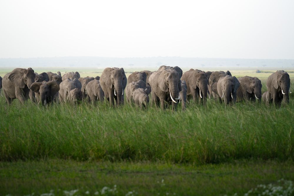 Фотография автора Karthik Subramaniam