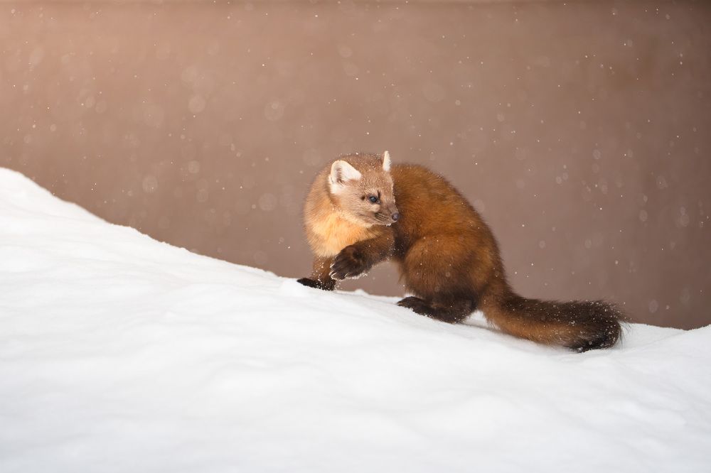 Фотография автора Karthik Subramaniam