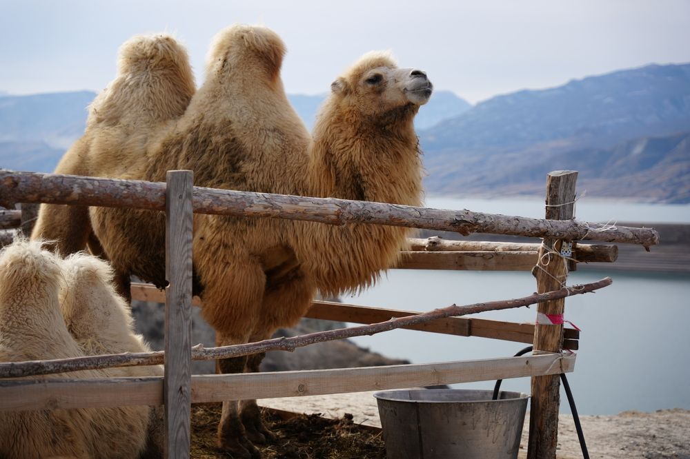 Photograph by Шеин а а