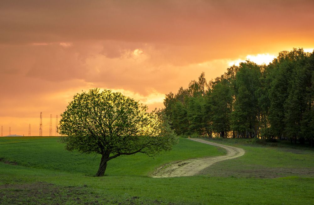 Photograph by Ольга Чибисова