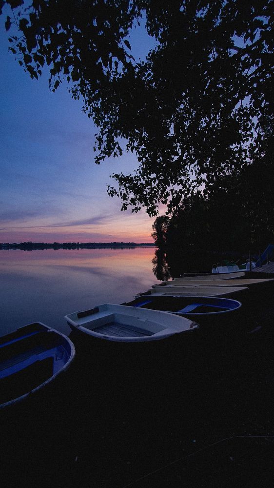 Photograph by Дарья Целуйко