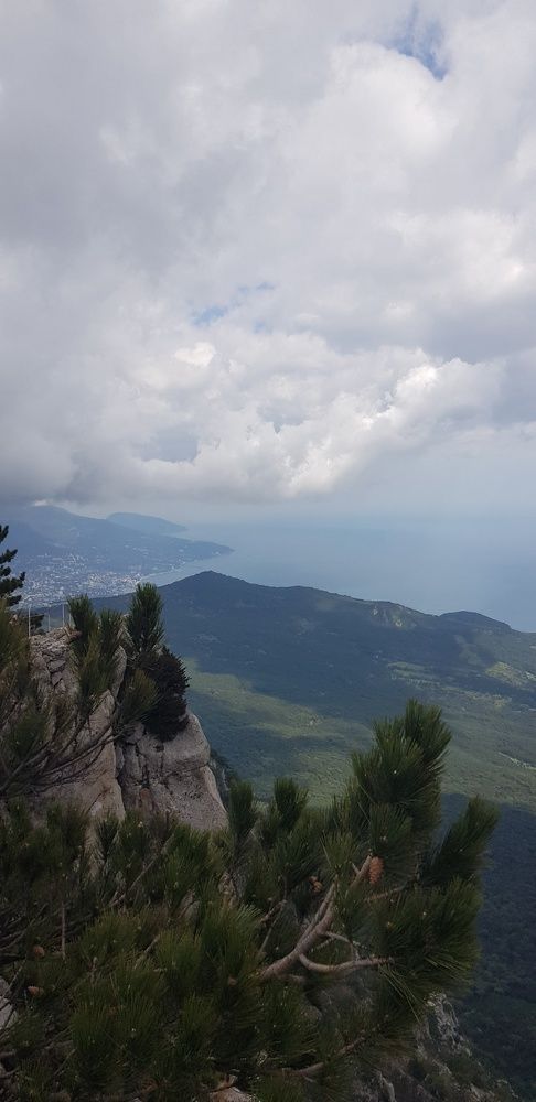 Фотография автора Ольга Мусина