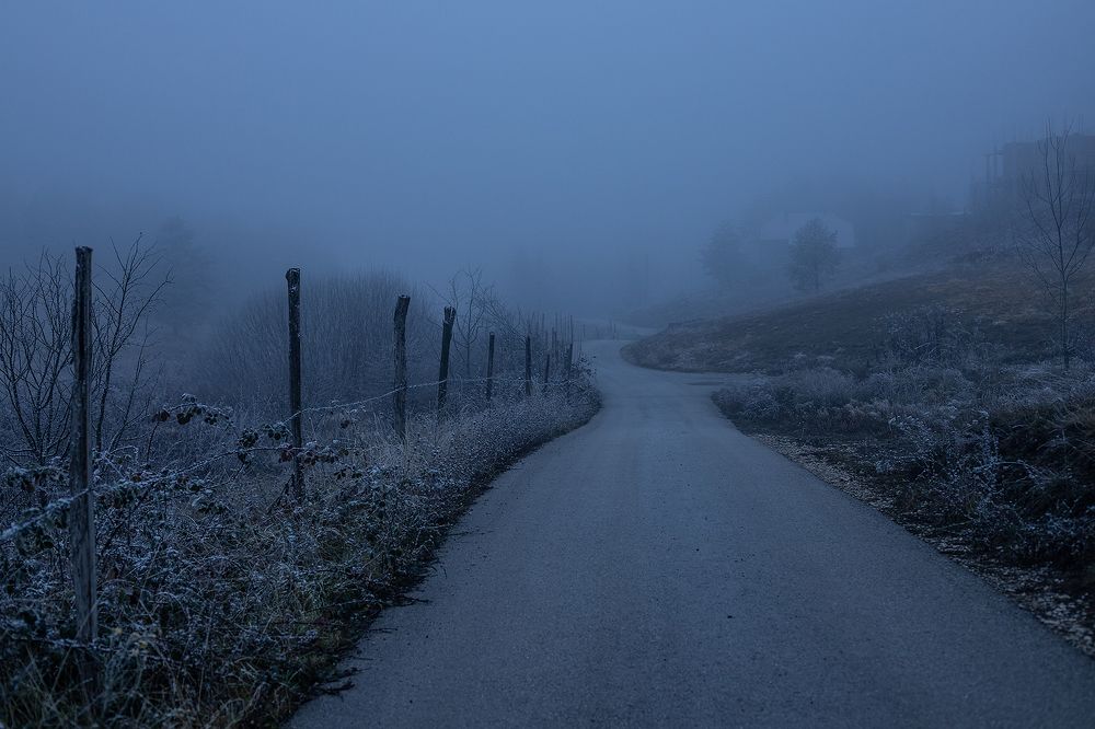 Photograph by Татьяна Алексеева