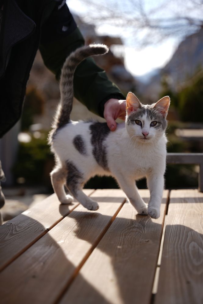 Photograph by Шеин а а