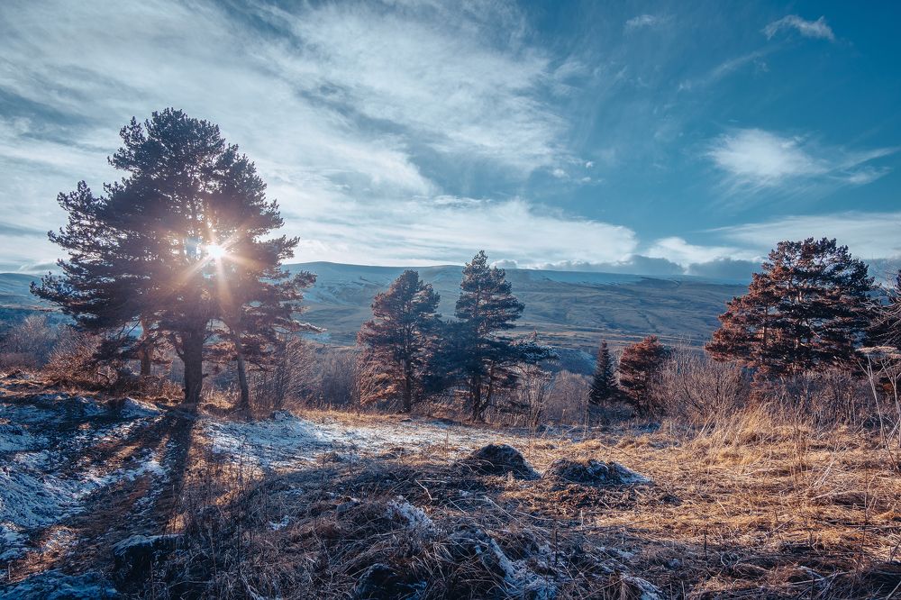 Фотография автора Вадим Коваленко