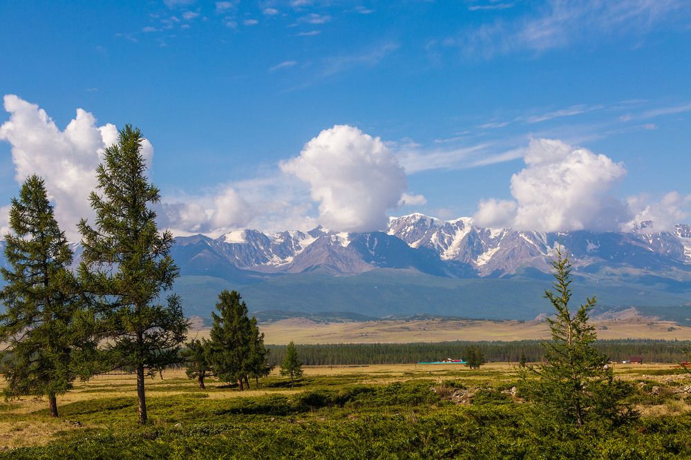 Фотография автора Totoro D