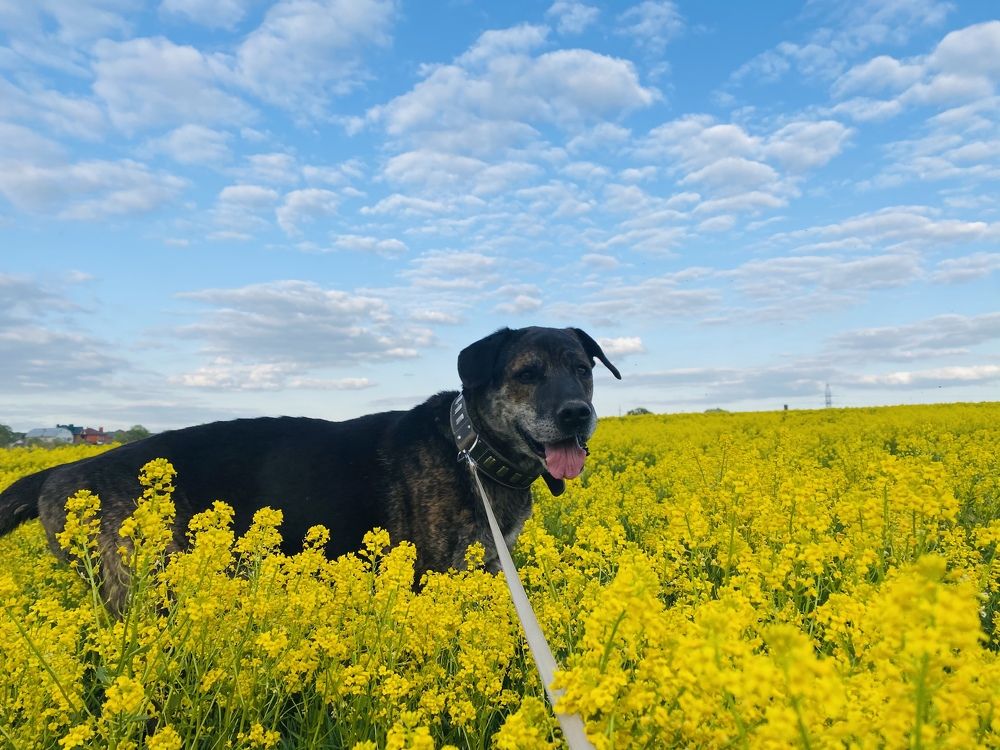 Photograph by Мария