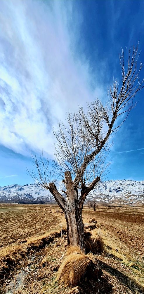 Photograph by Mostafa Ghorbani