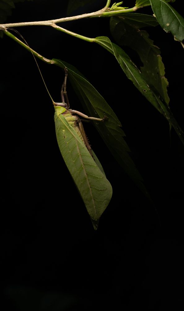 Photograph by Avinash