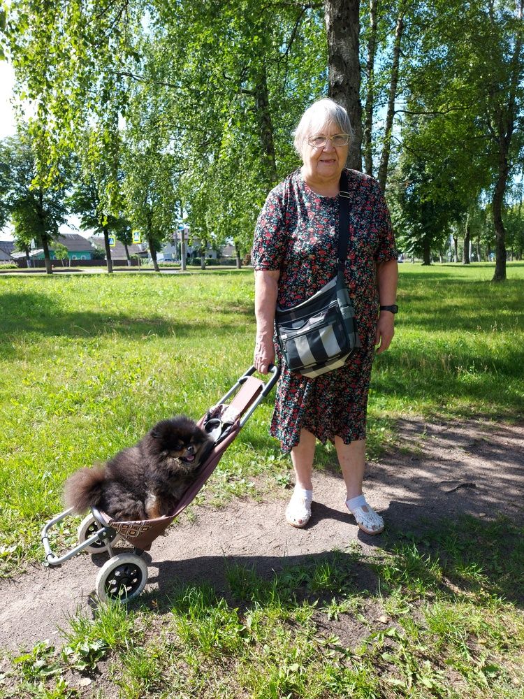 Photograph by ЭЛЬМИРА  ИСМАИЛОВА