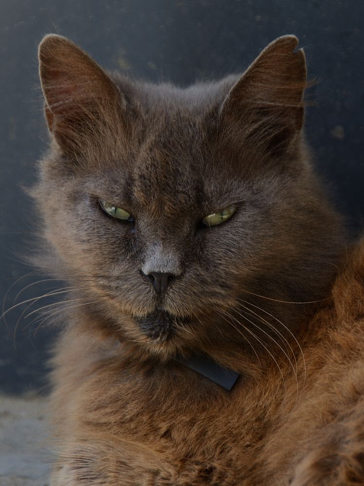 Фотография автора Aleksei Batiukov