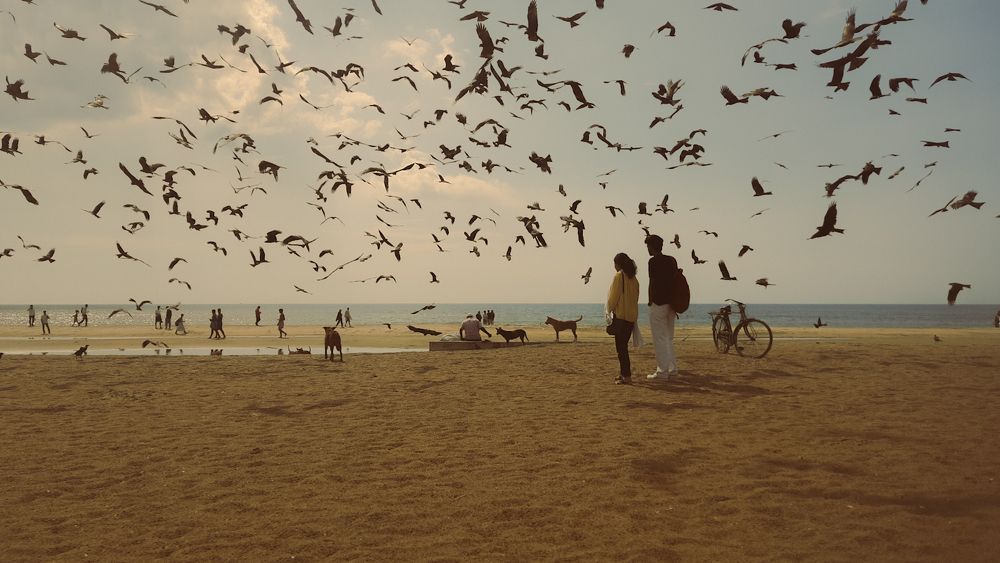 Photograph by Jaseem