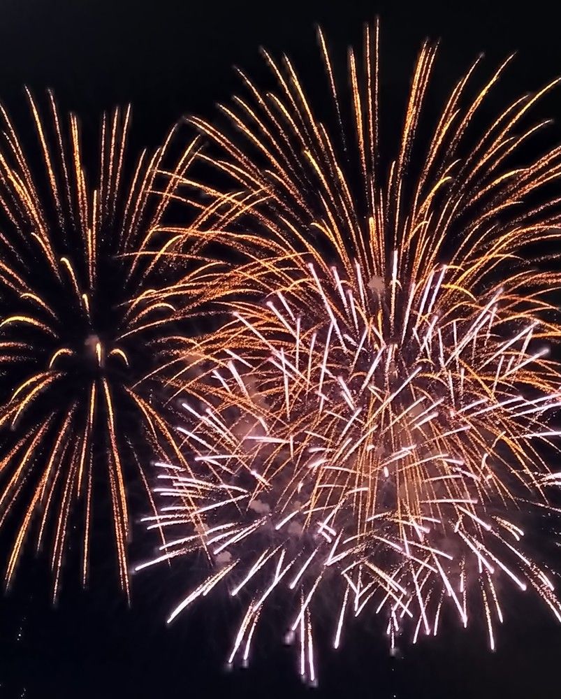 Фотография автора Анастасия Демина