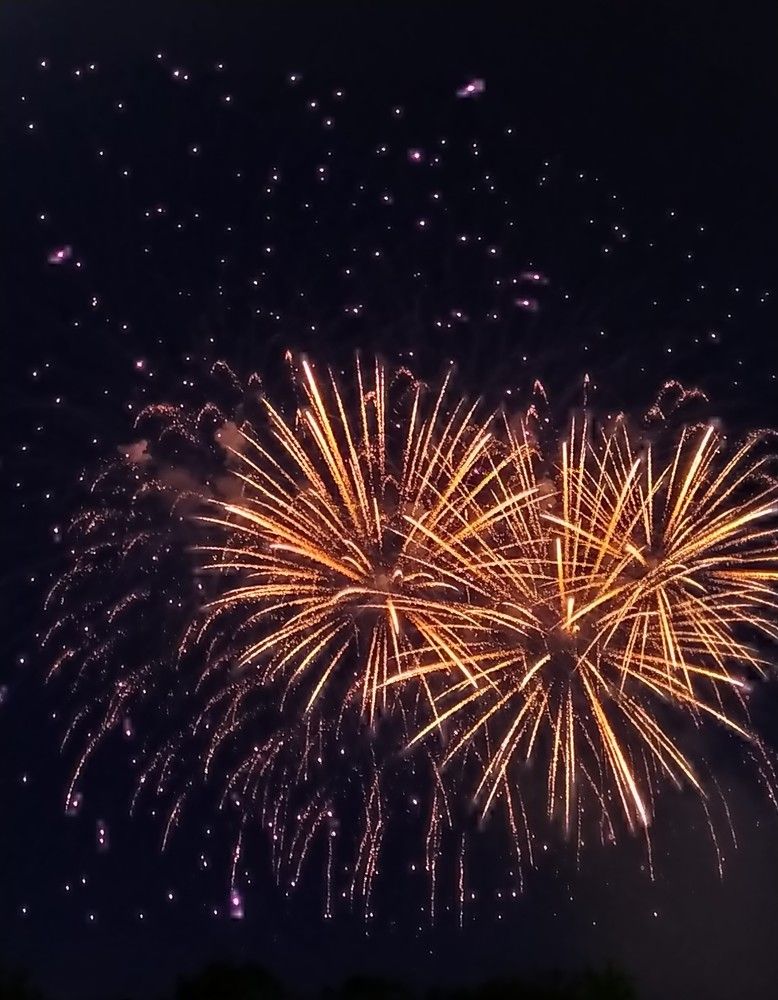 Фотография автора Анастасия Демина