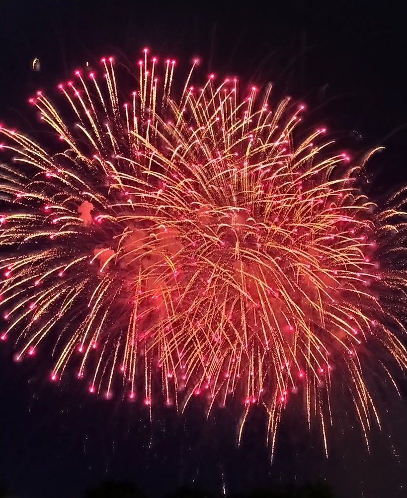 Фотография автора Анастасия Демина