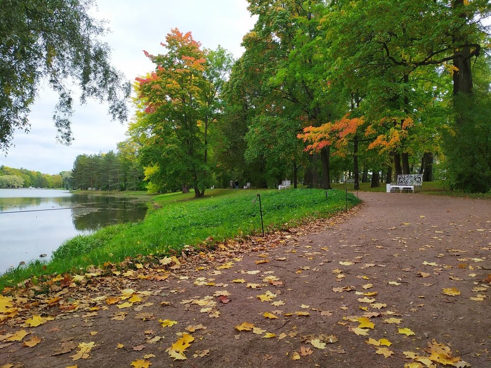 Фотография автора Анастасия Демина