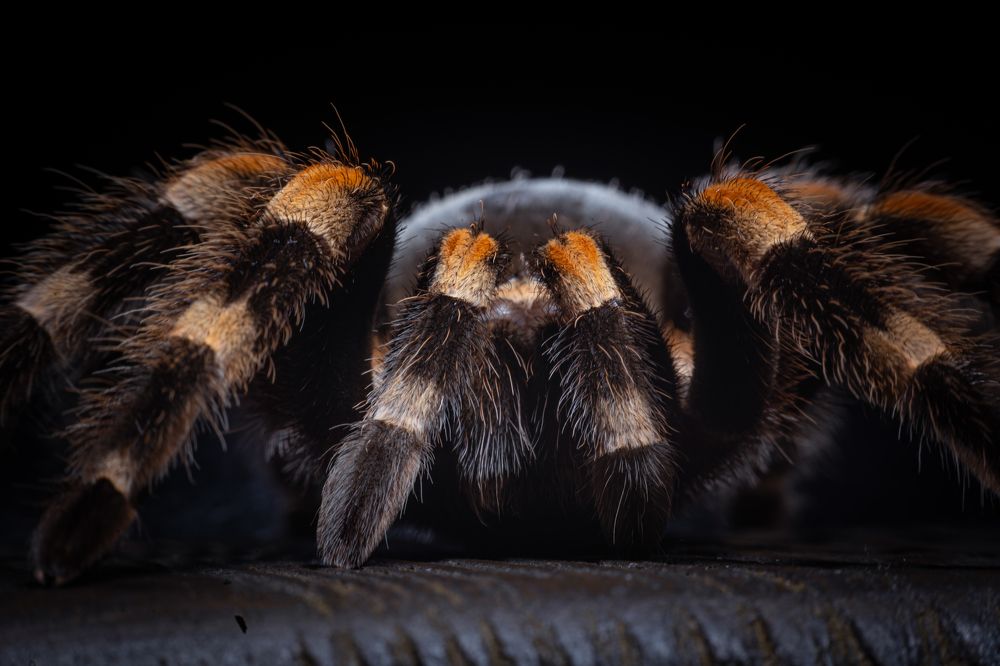 Photograph by Антон Сандалов