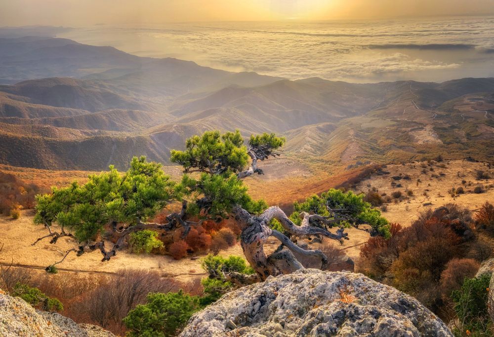 Фотография автора Дмитренко Екатерина