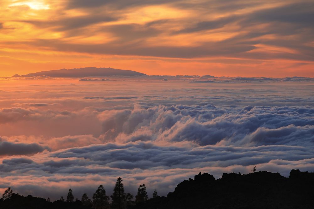 Фотография автора Инга Иванова