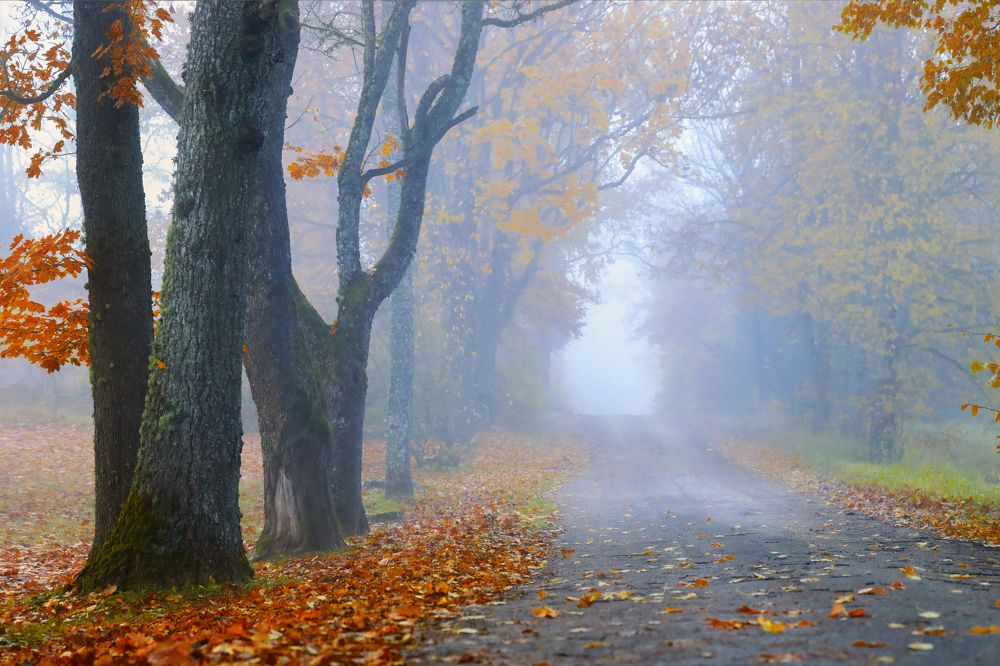 Фотография автора Инга Иванова