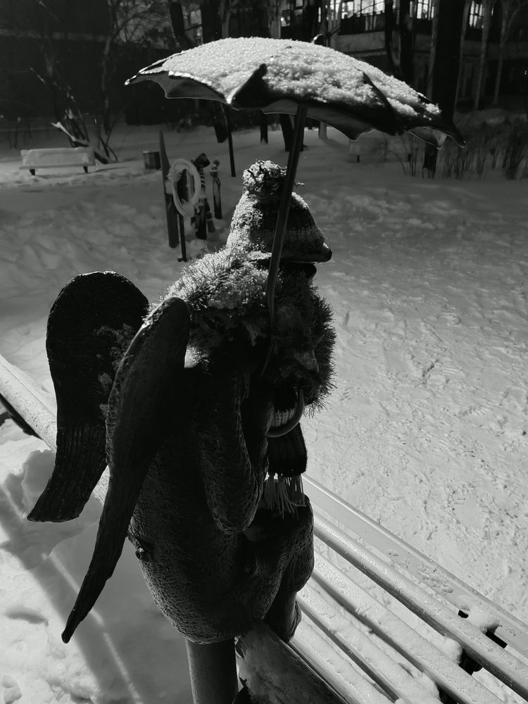 Photograph by Любовь Братухина