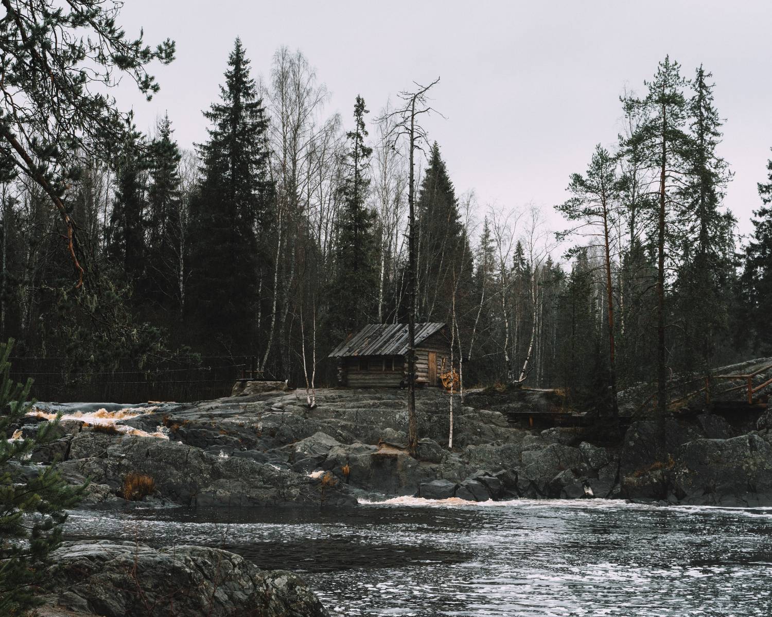 Photo #10293868