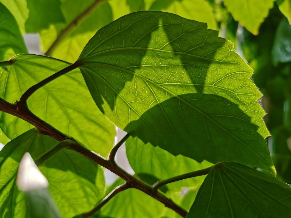 Photograph by Калинина Анастасия