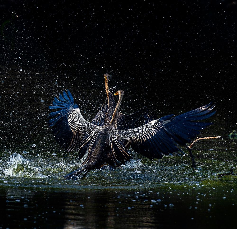 Photograph by Rahul Dev