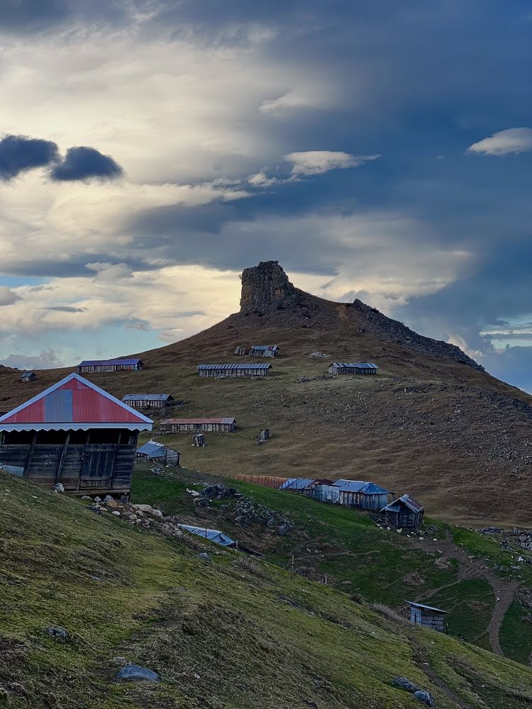 Photograph by amaz avr