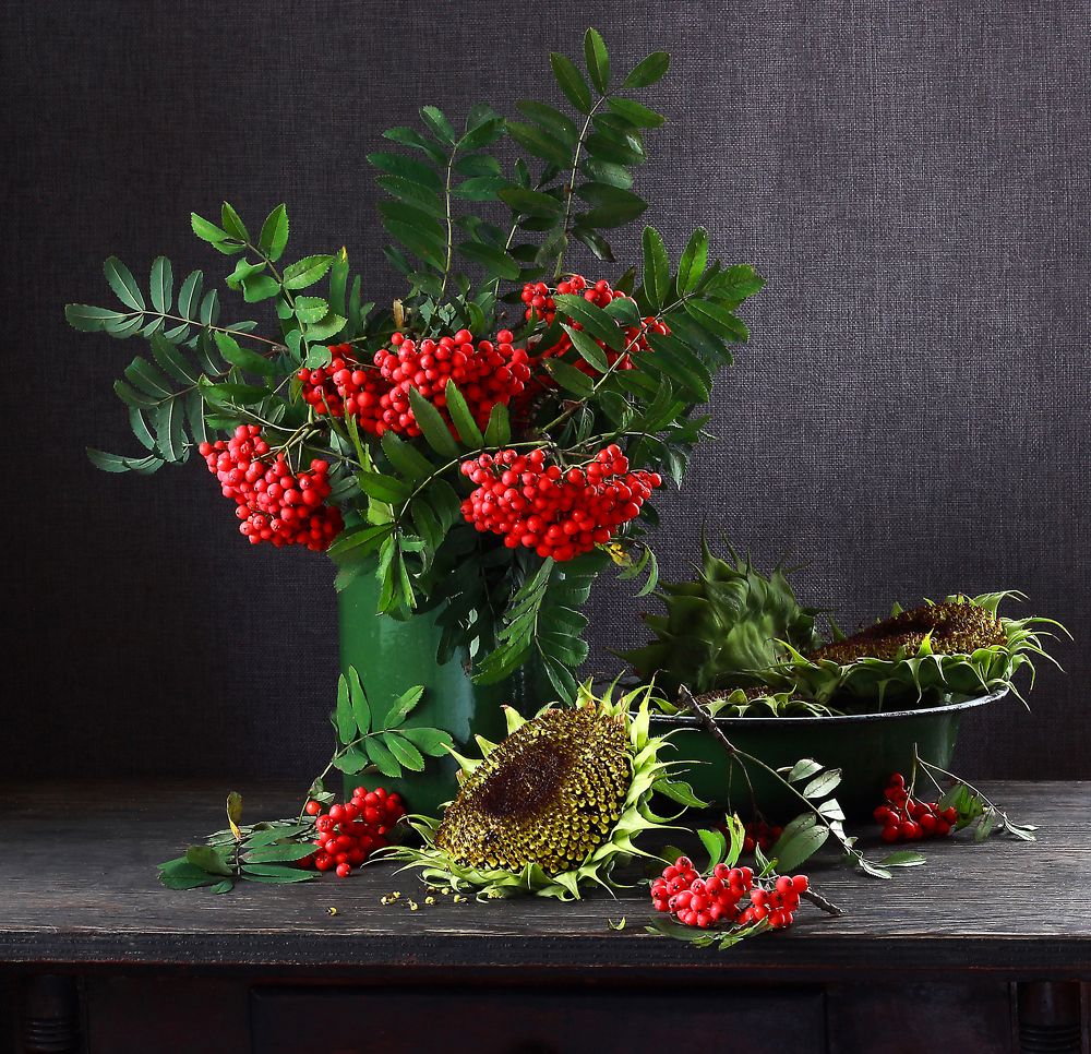 Photograph by Наталья Казанцева