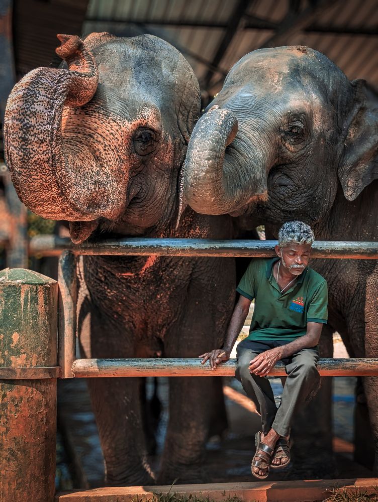 Photograph by Dilan Daniel