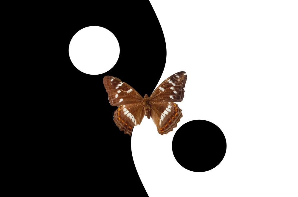 Photograph by Александр Поздняков