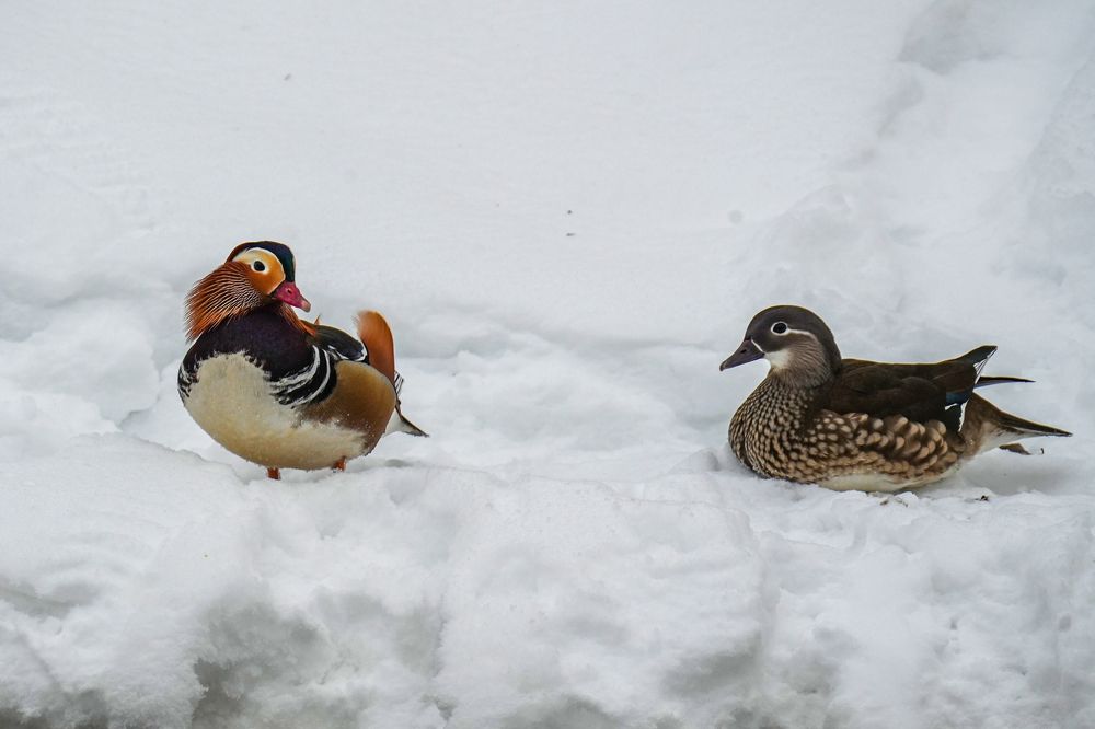 Photograph by Pavel Morozov