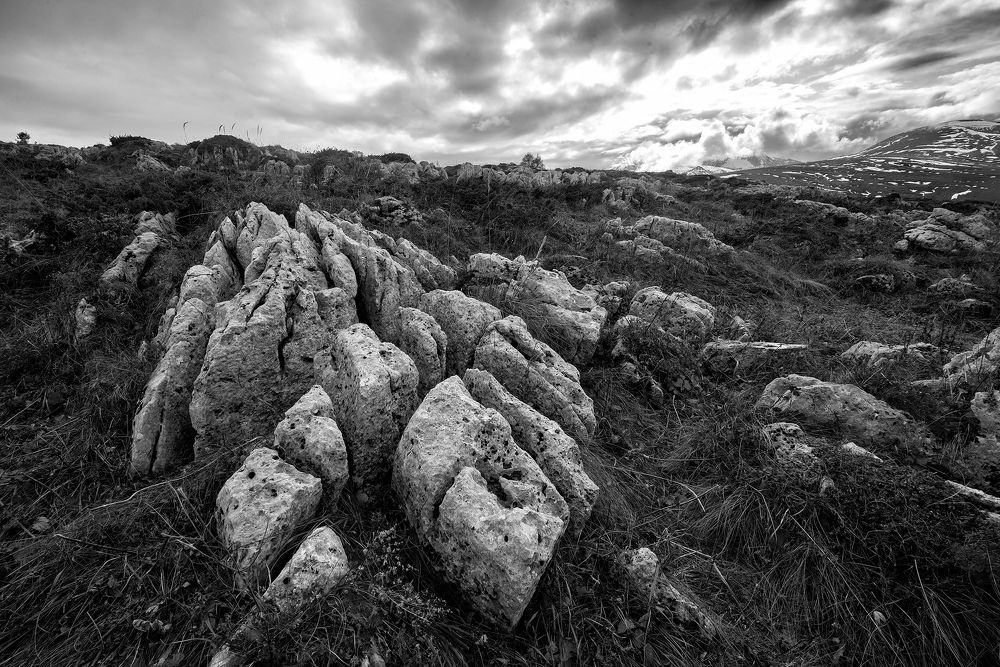 Фотография автора Сергей Сынтин