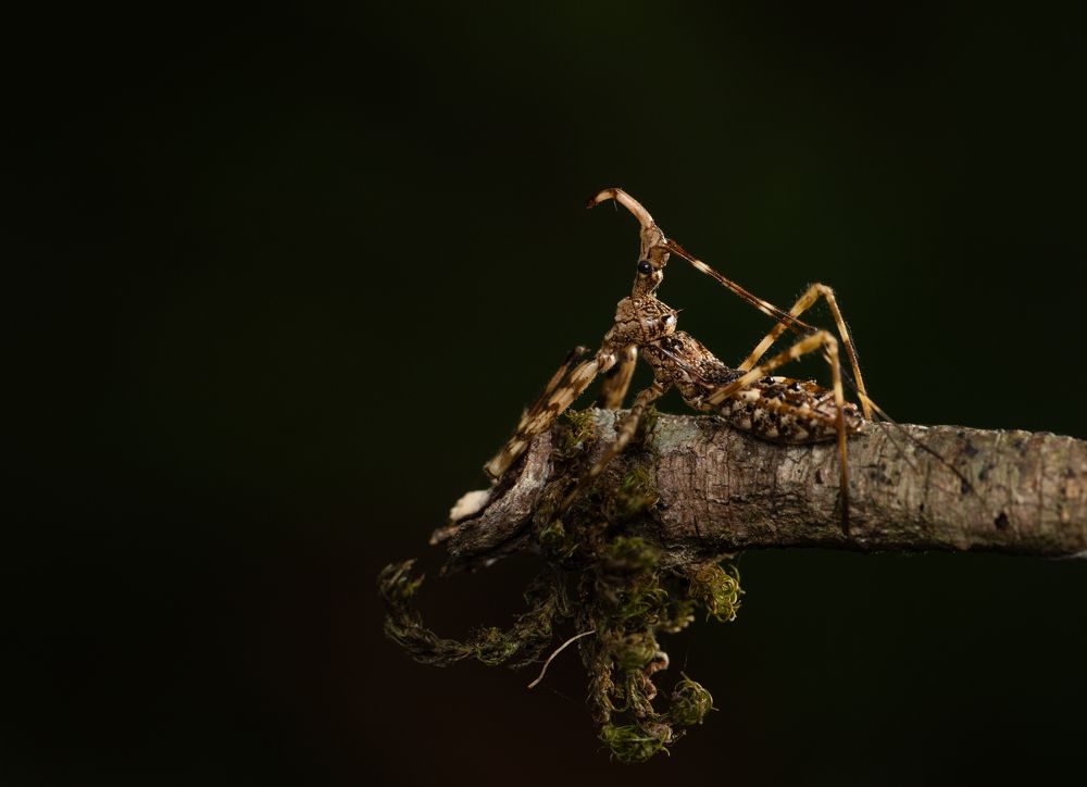 Photograph by Avinash