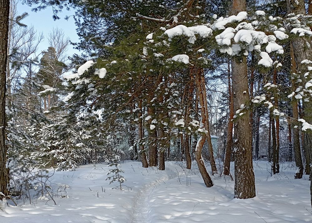 Photograph by Николай Кузьмин