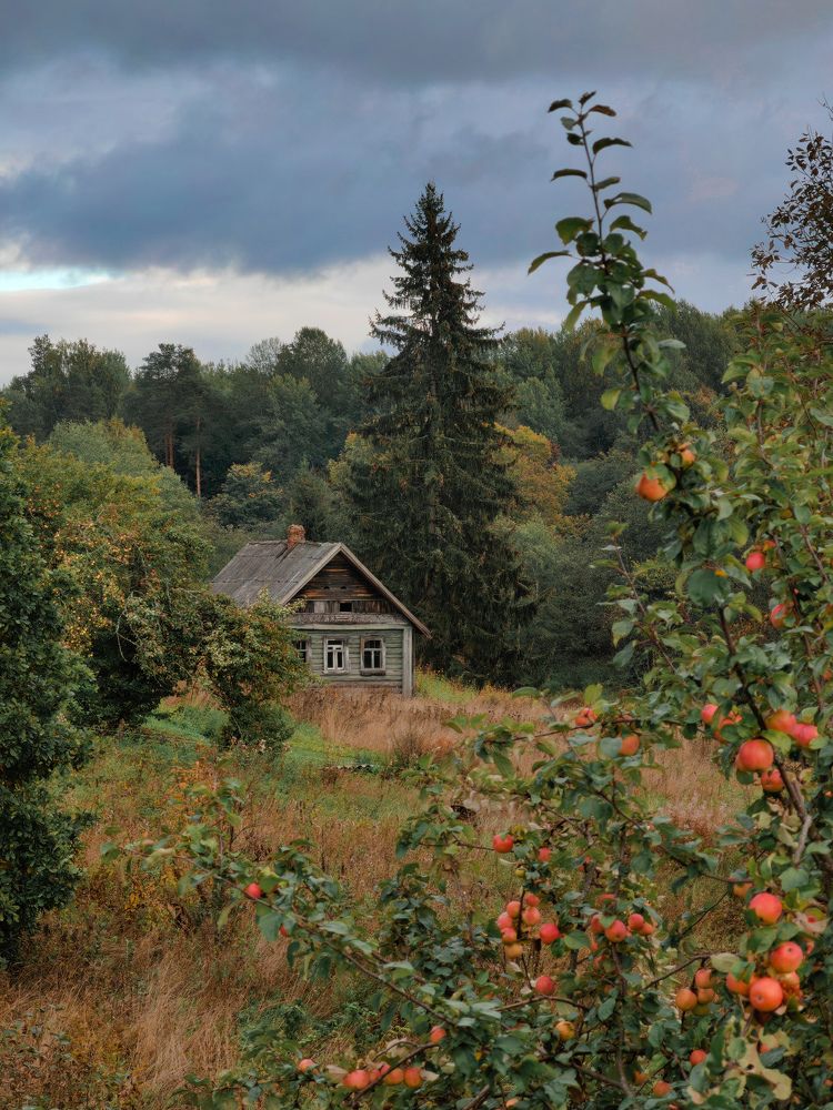 Photograph by Титова Дарья