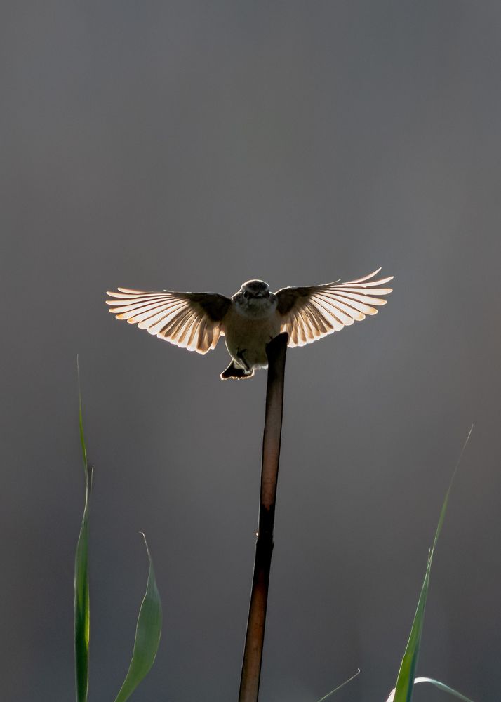 Photograph by Hervie Imus