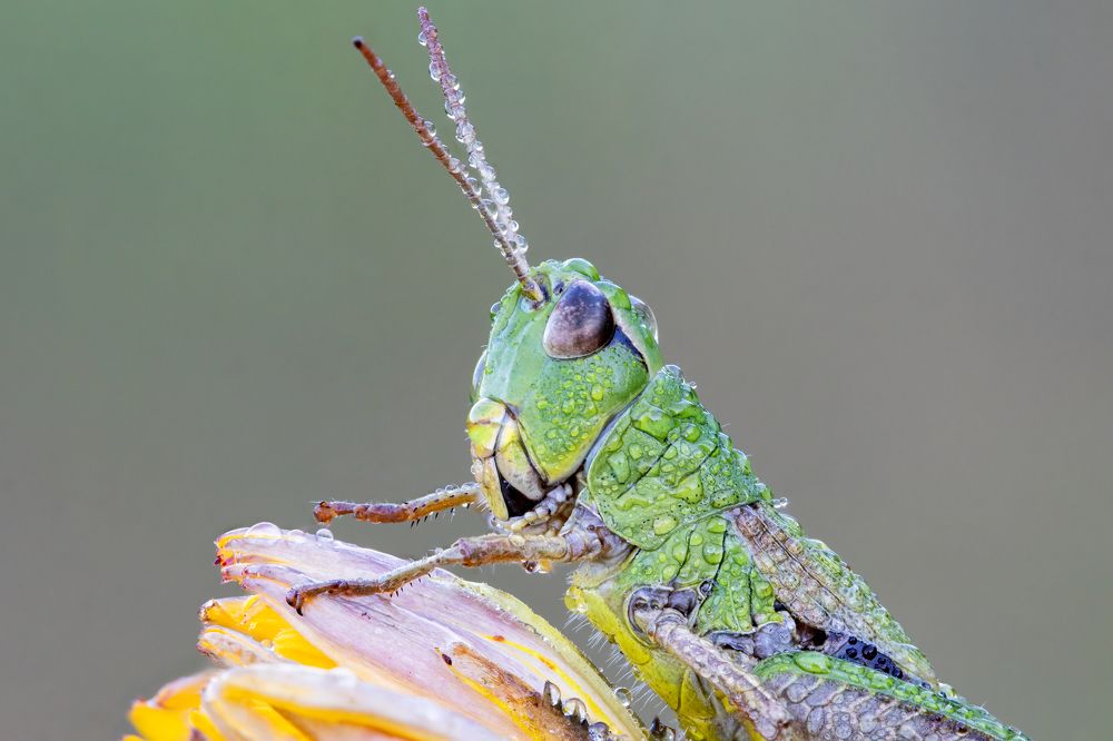 Photograph by Глеб Коровко