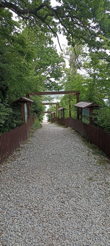 Photograph by Дмитрий Хайбулин