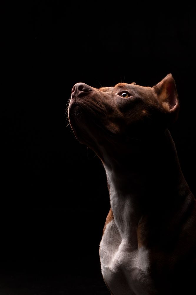 Photograph by Наталья Носова (Кучеренко)