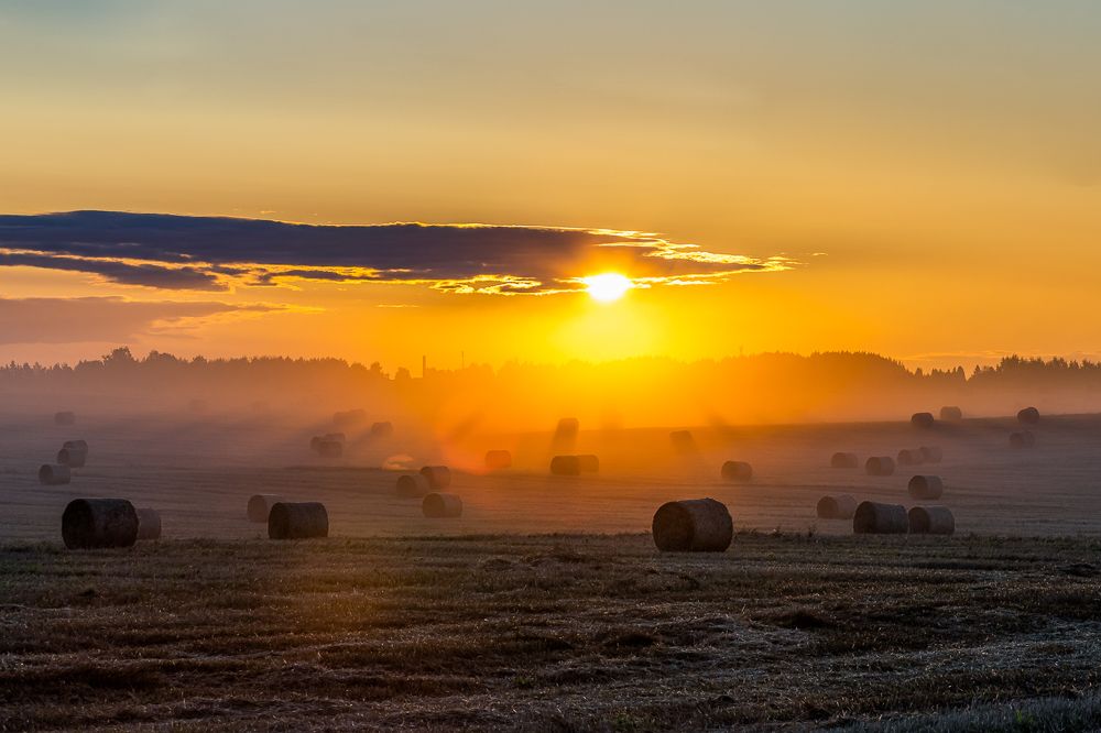 Фотография автора Панагушин Сергей
