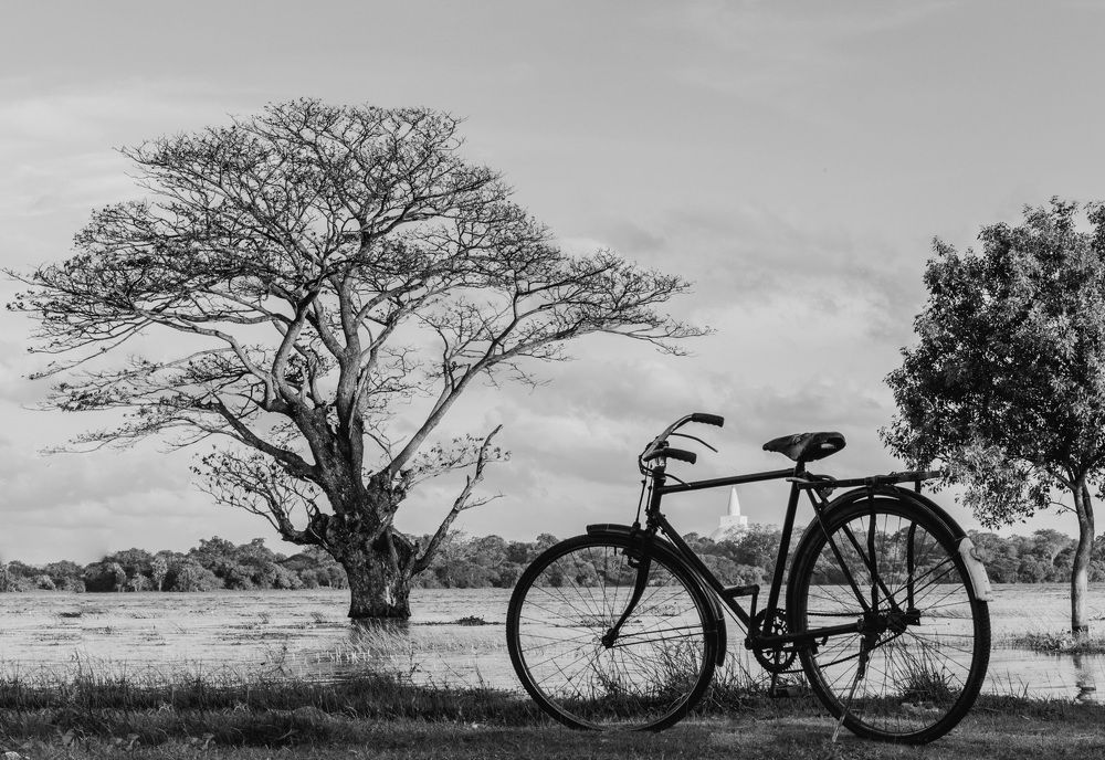 Photograph by Harsh Keppetipola