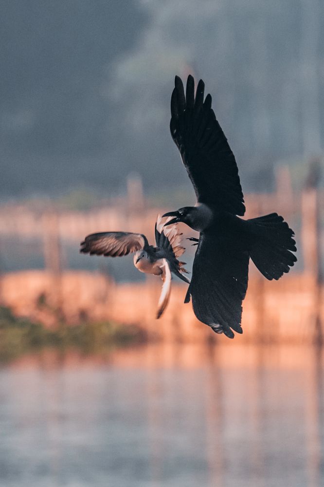 Photograph by Sk Yunus Ali