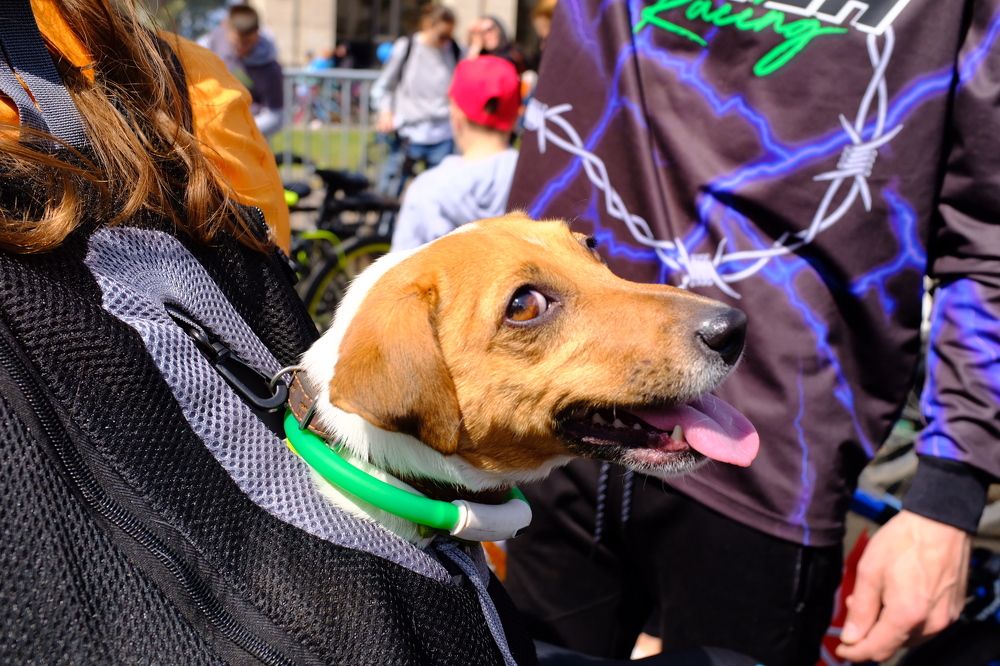 Photograph by Семен Батов