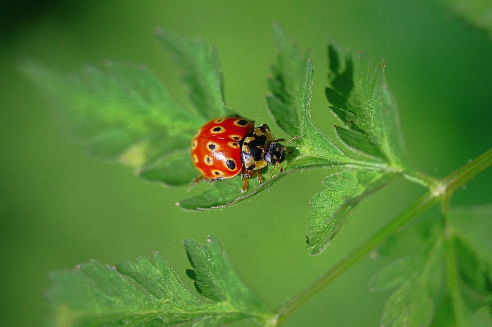 Photograph by Наталья Островцева