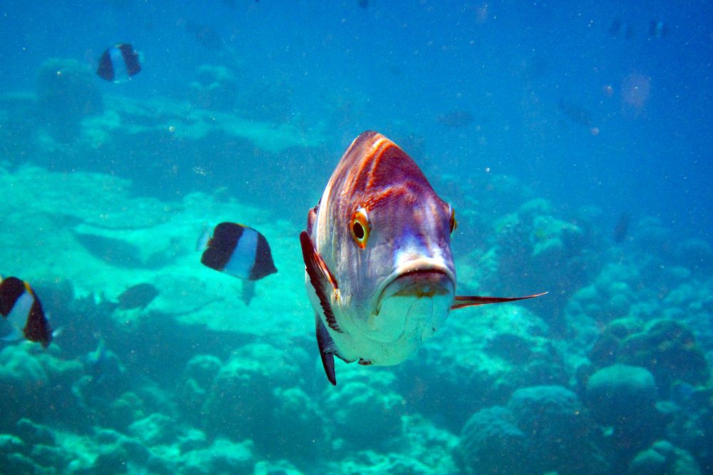 Photograph by Claudia Freitas