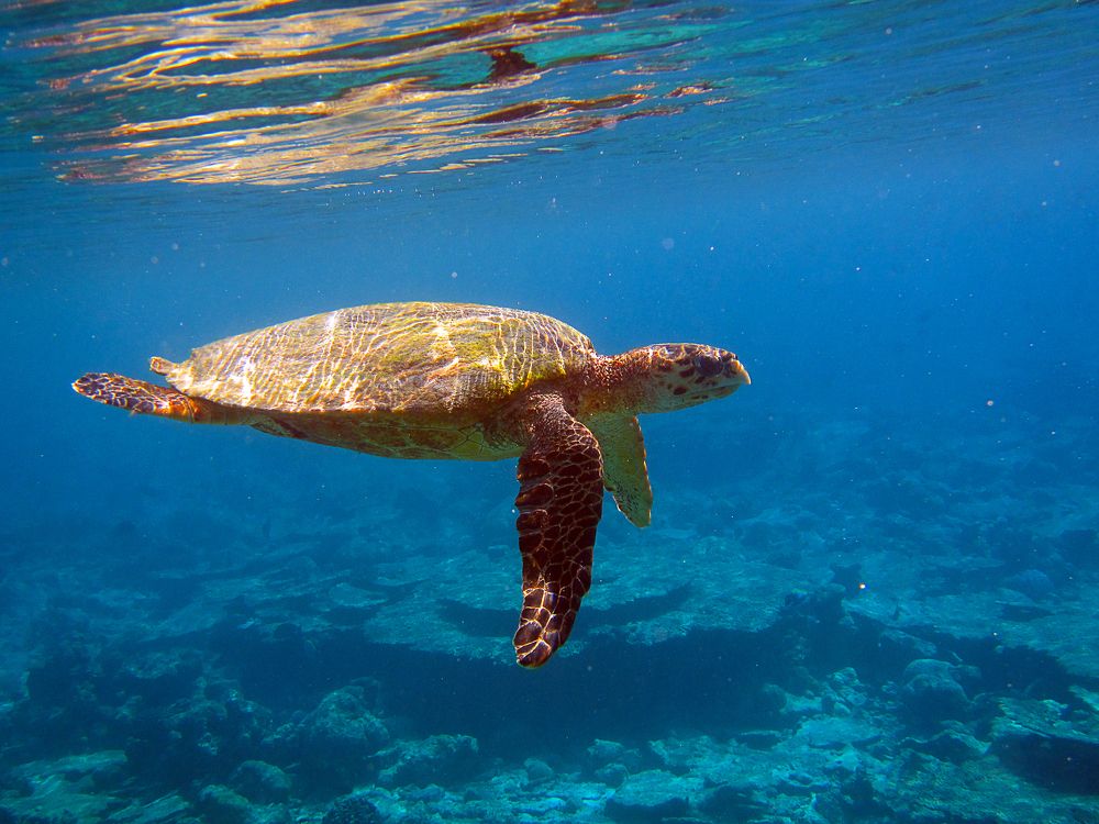 Photograph by Claudia Freitas