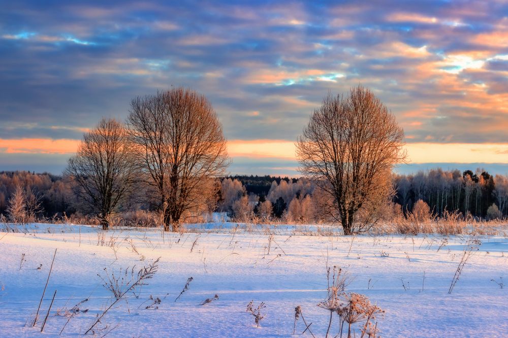Фотография автора Сережа Сережин