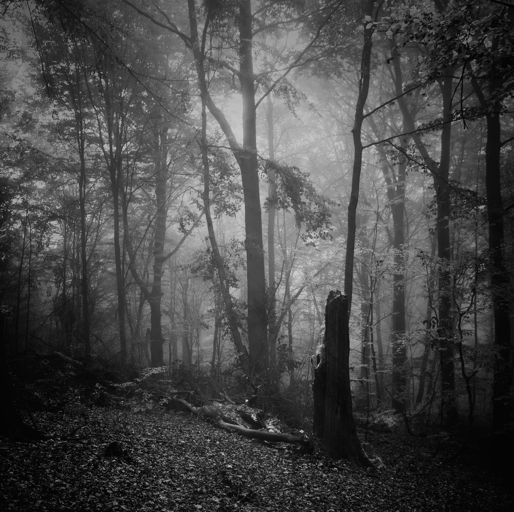 Photograph by Magdalena Kolenicova